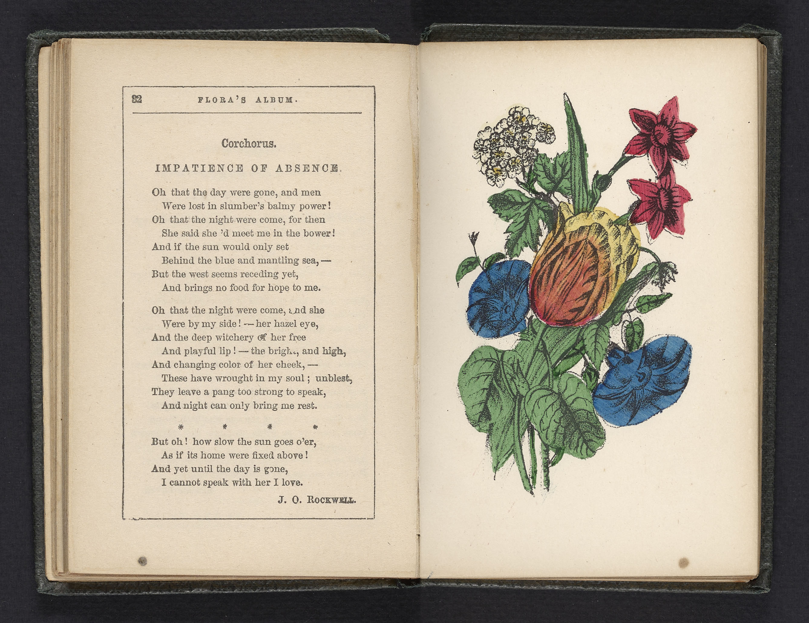 The language of flowers, poetically expressed: being a complete Flora's Album